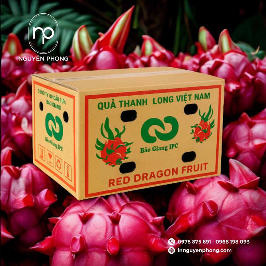 in-thung-carton-gia-re-tai-TPHCM